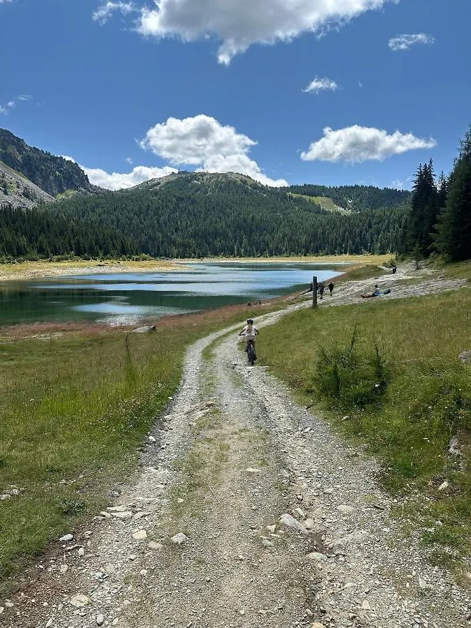 Snowlodge Valmalenco Caspoggio Appartamento